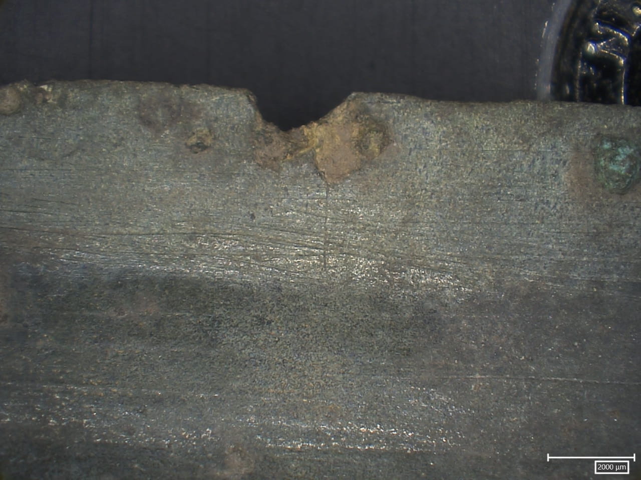 Bronze Age hoard found in Czech wetland points to ancient ritual offering