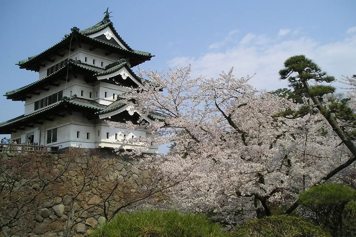 Hirosaki Castle with Cherry Blossoms