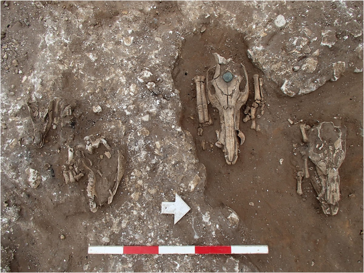 Bronze Age barrow reused as Roman shrine and later execution site in England