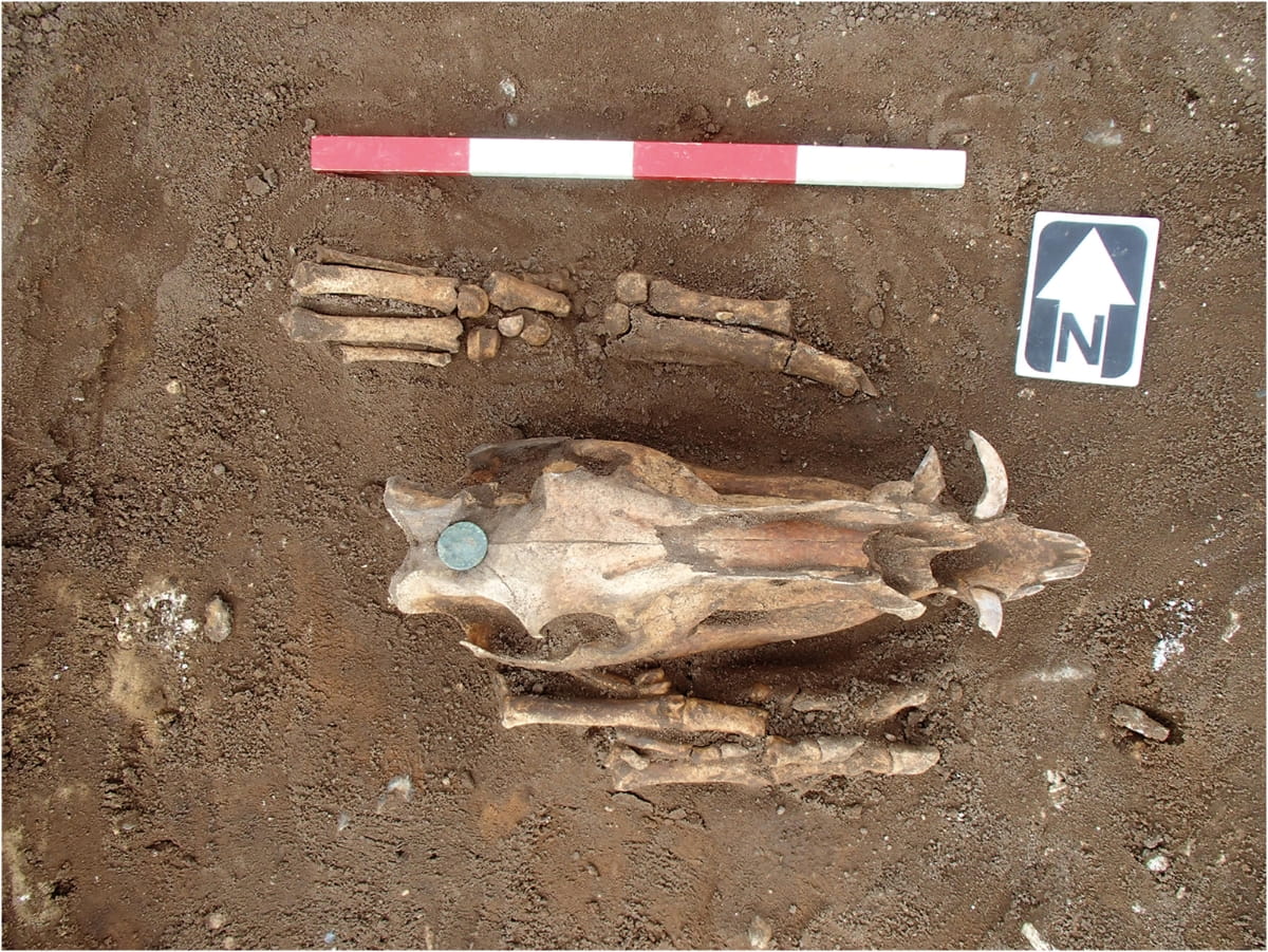 Bronze Age barrow reused as Roman shrine and later execution site in England