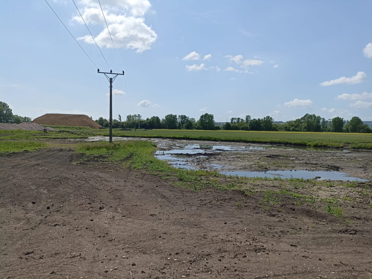 Bronze Age hoard found in Czech wetland points to ancient ritual offering