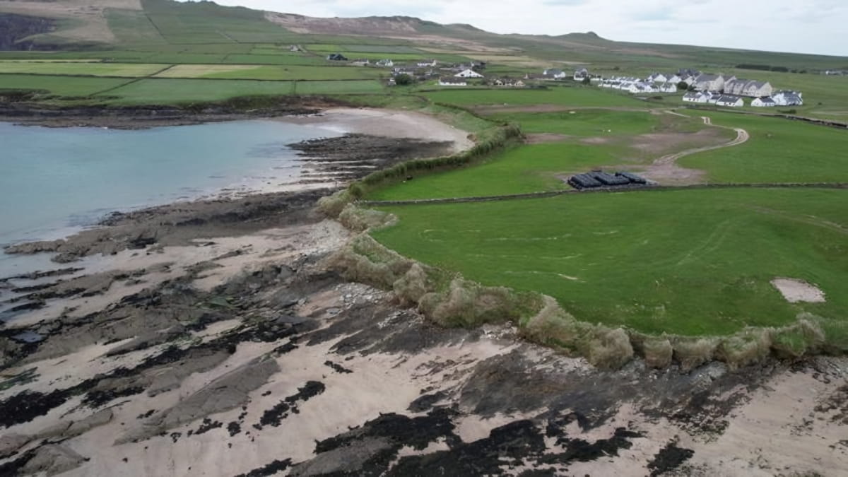 Kerry Cow bones identified as bear and wild boar, rewriting Ireland and Britain’s early farming history