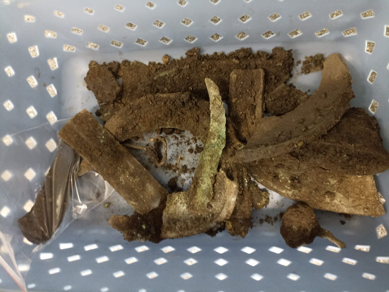 Bronze Age hoard found in Czech wetland points to ancient ritual offering