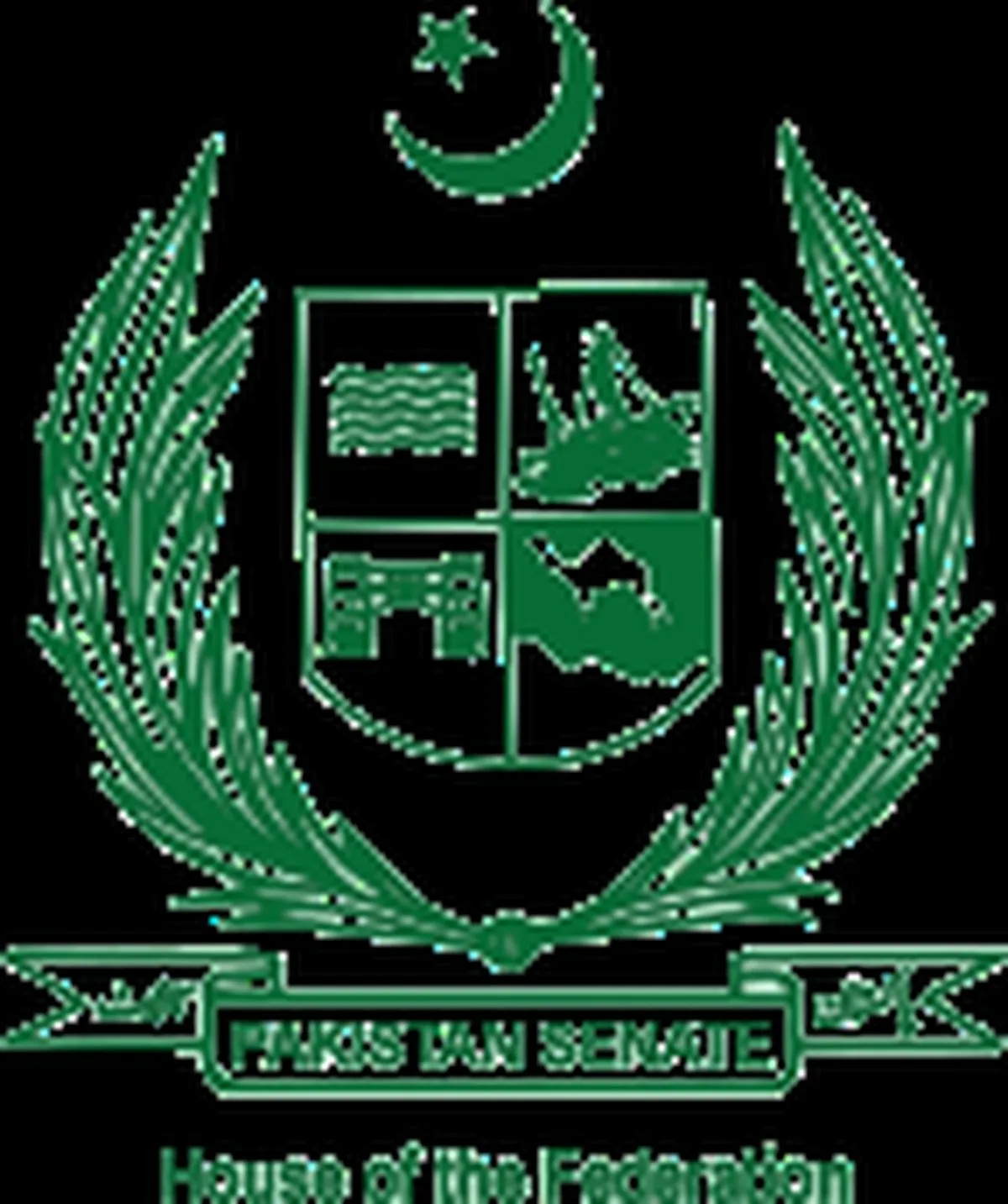Pakistan siyasi yapısı