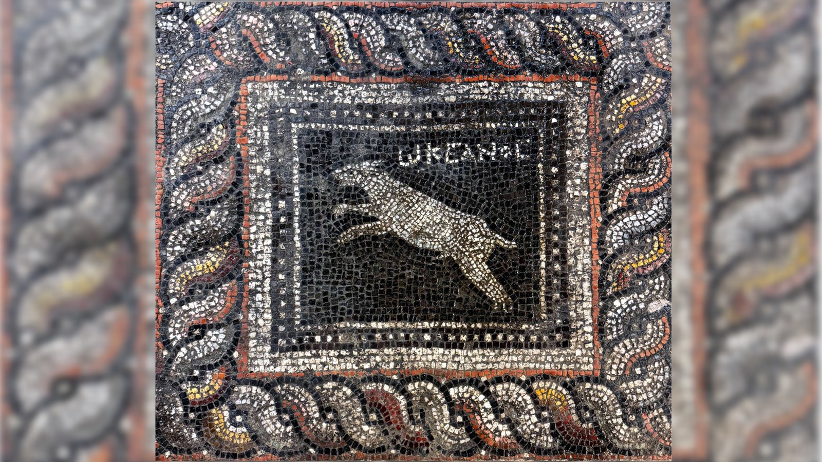 a panel of a multicolored Roman floor mosaic that depicts a dog named Ocean