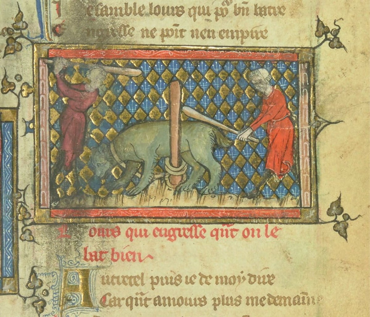 Bear baiting became widespread in England soon after the Norman Conquest, study finds