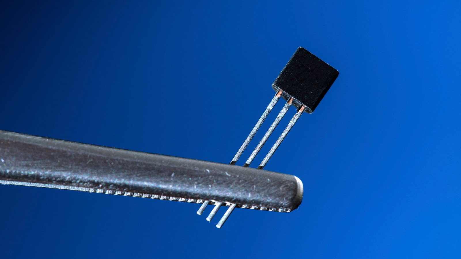 Metal tweezers hold a black box with three metal prongs out of the bottom. 