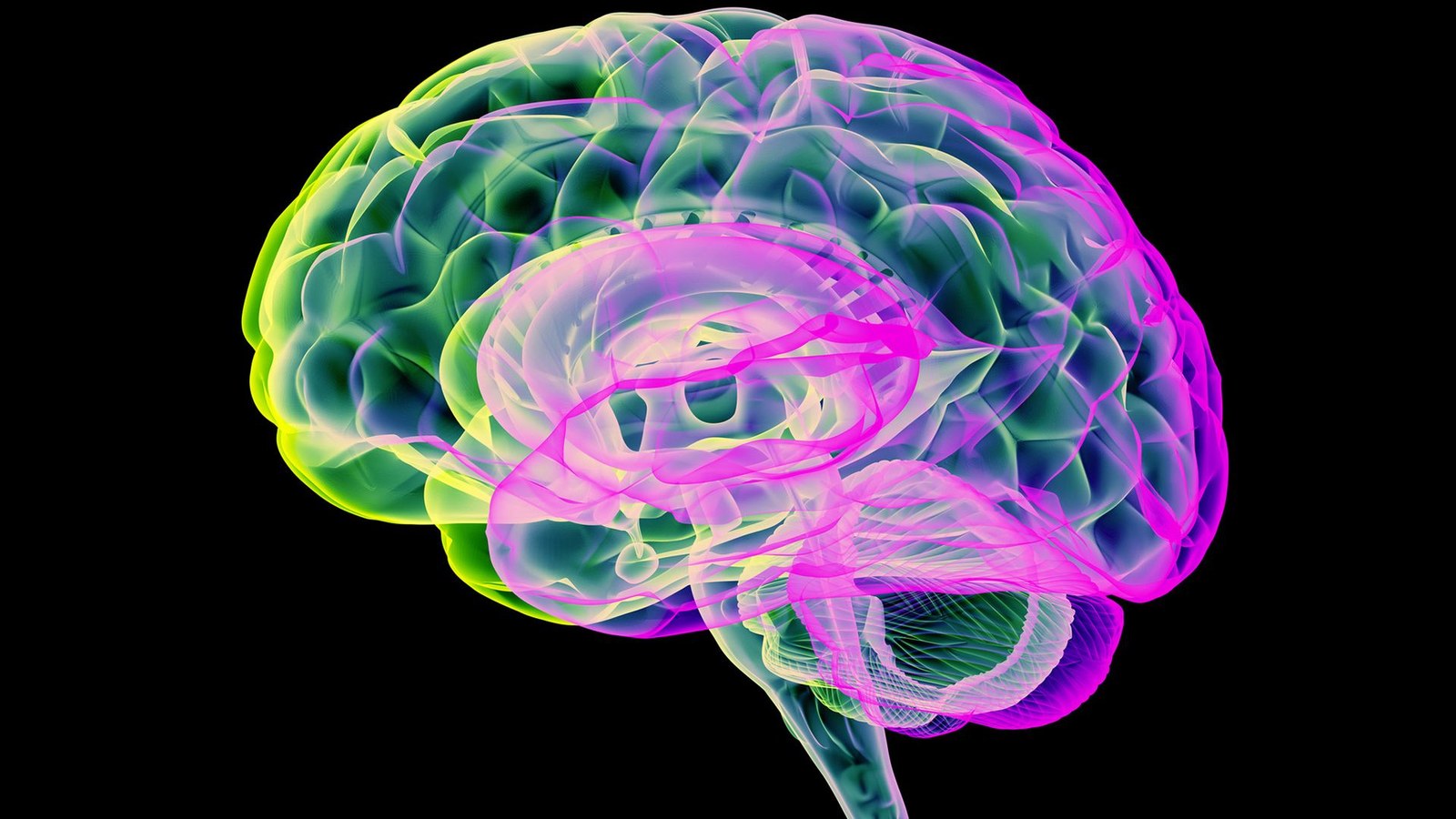 A colorful brain against a black background