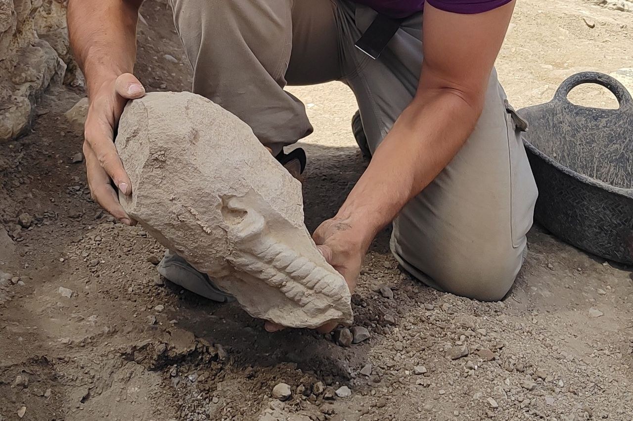 Rare 2,000-year-old Iberian sculpture head found reused in Roman building at Libisosa