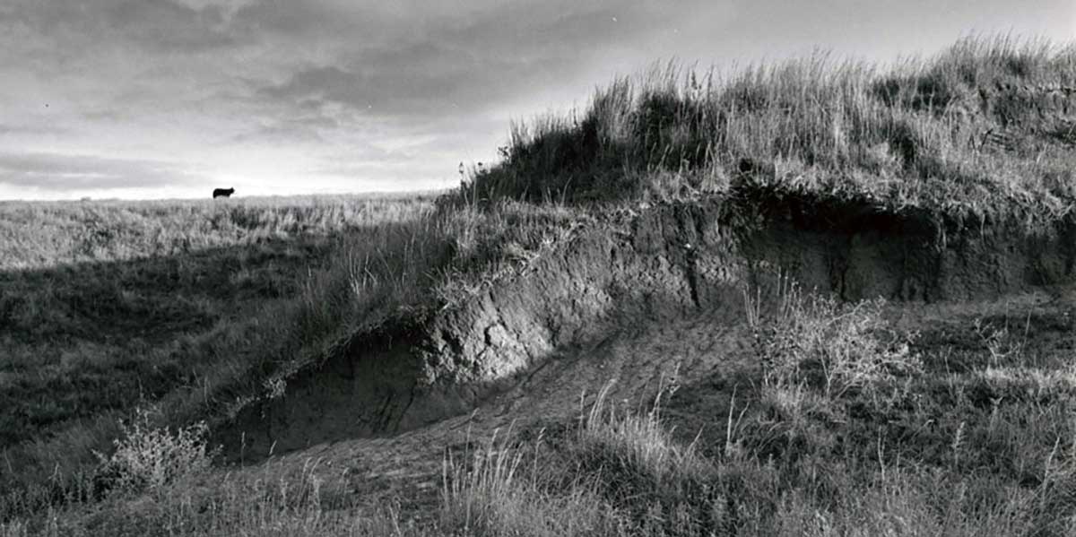 cather memorial prairie