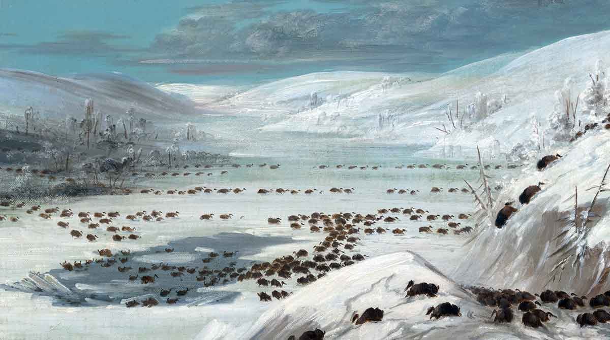 buffalo missouri river