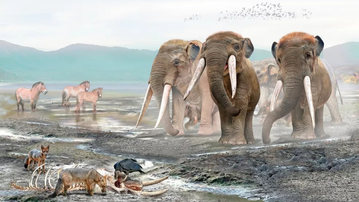 An artist's illustration of an ancient lake with gomphotheres and other extinct animals