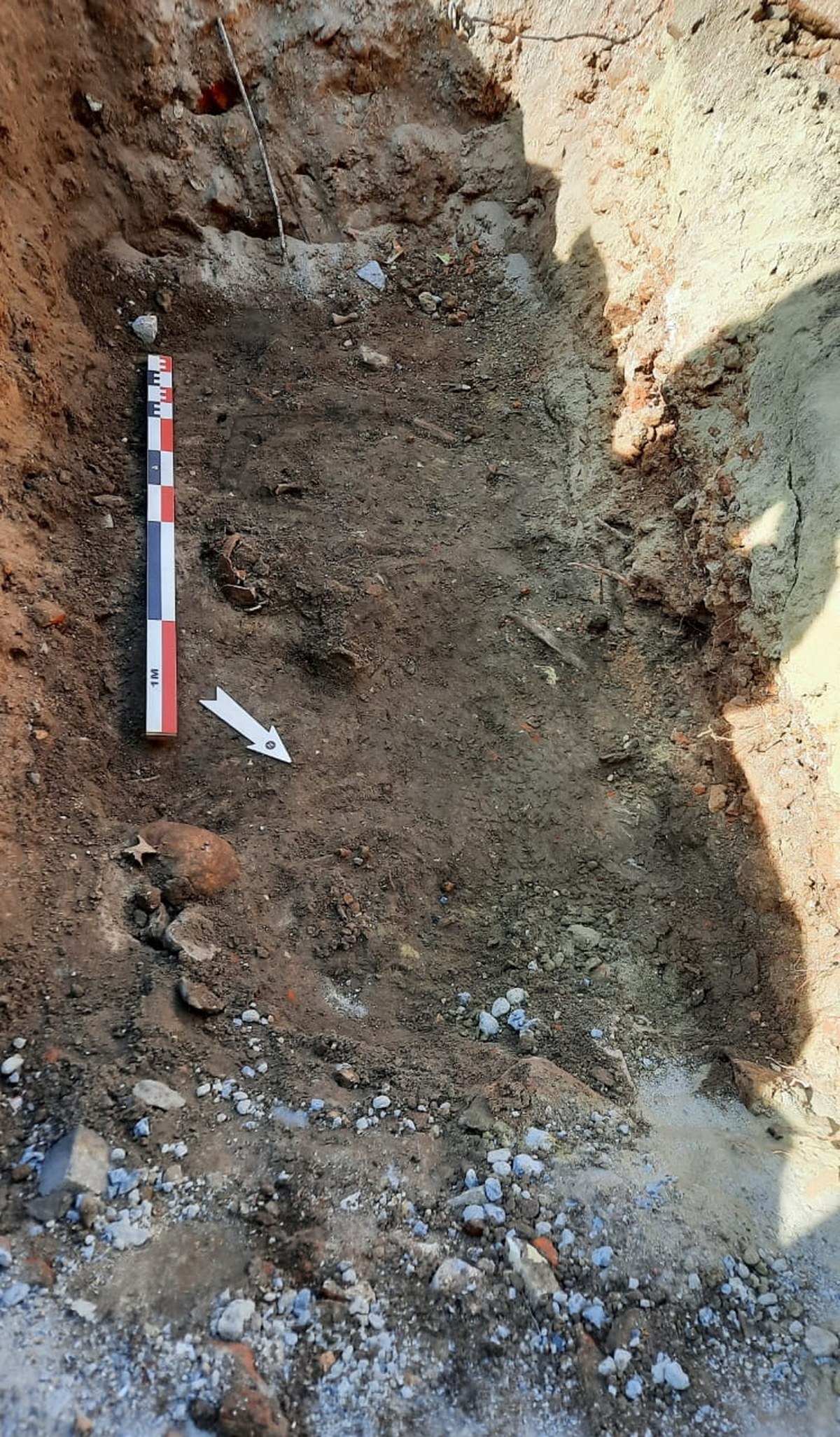 Medieval cemetery with up to 240 skeletons found beneath busy Belgian market square