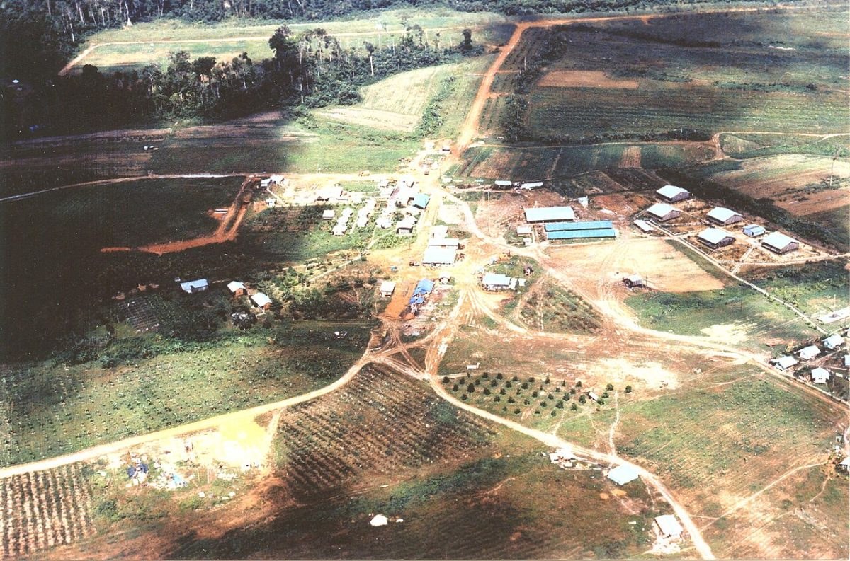 Aerial view of the Jonestown settlement in Guyana, showing wooden buildings, dirt tracks and cleared farmland surrounded by rainforest