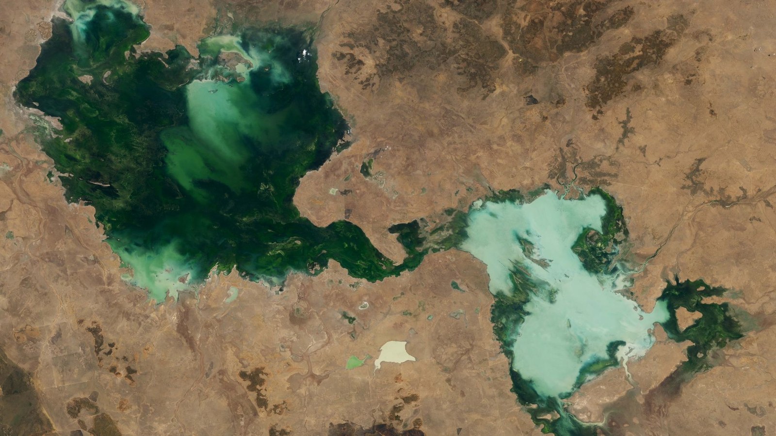 A satellite photo showing a massive green lake in the Australian outback