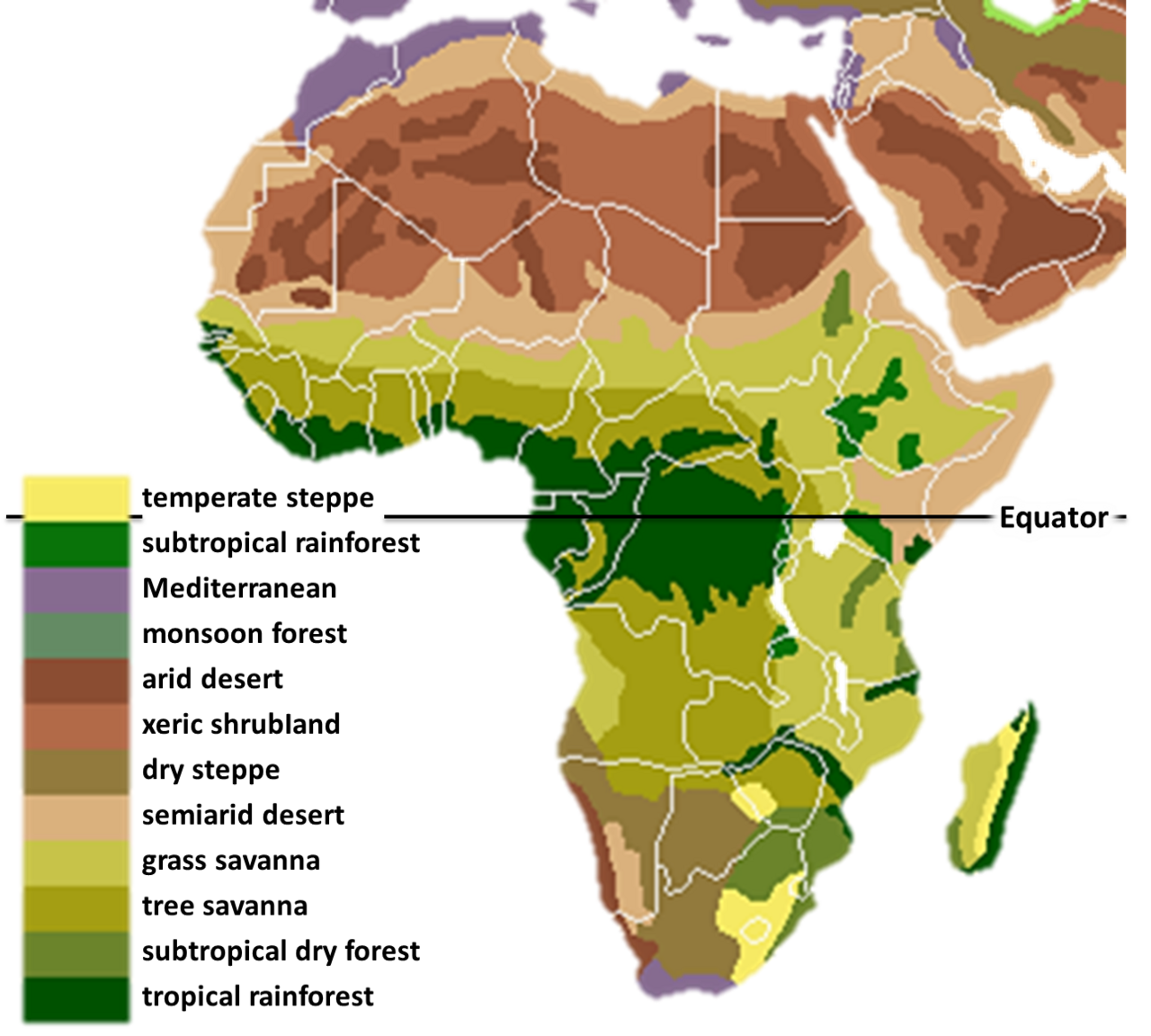 Afrika'daki ana biyomlar