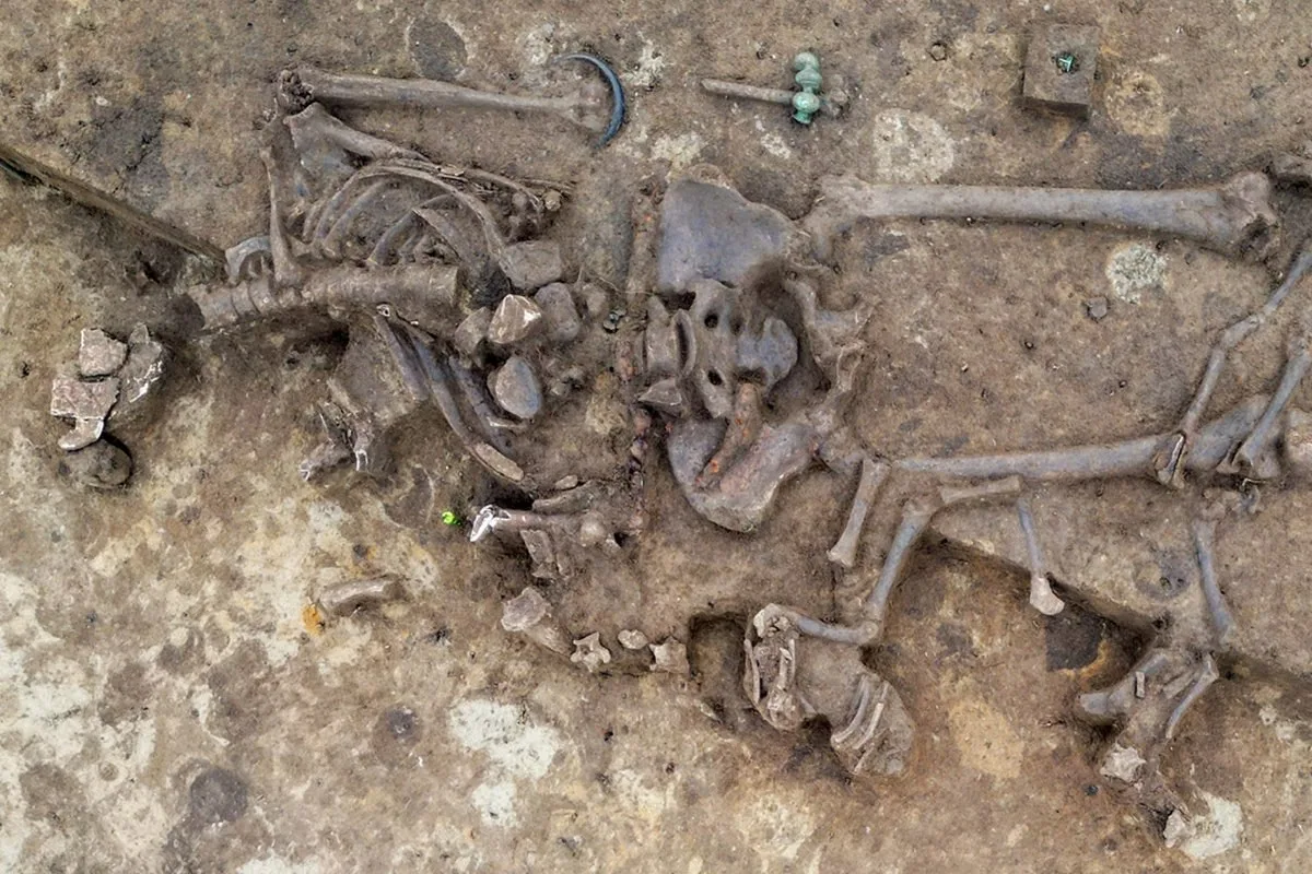 Almanya'nın Güneyinde Yüksek Statülü Kelt Mezarı Bulundu