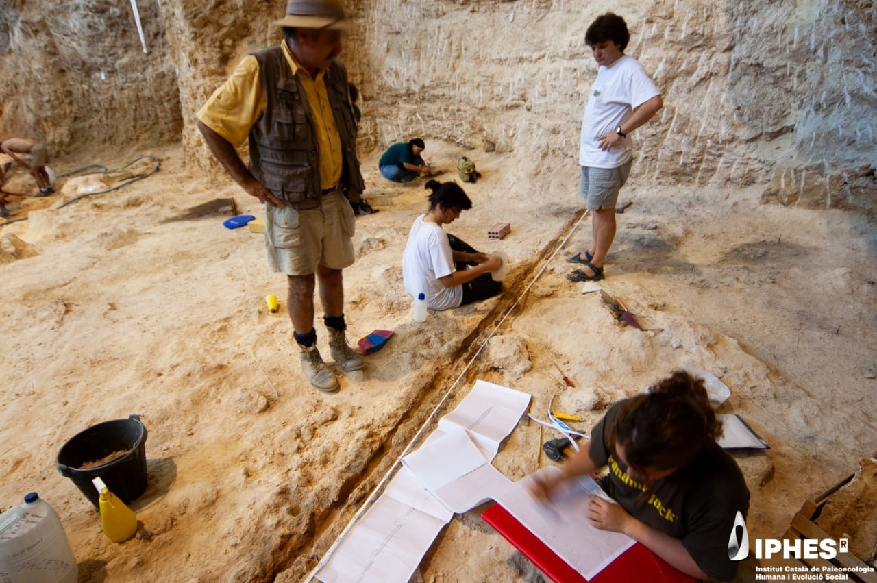 Neandertallerin ahşap işçiliği biz düşündüğümüzden çok daha gelişmişti, yeni araştırma gösteriyor