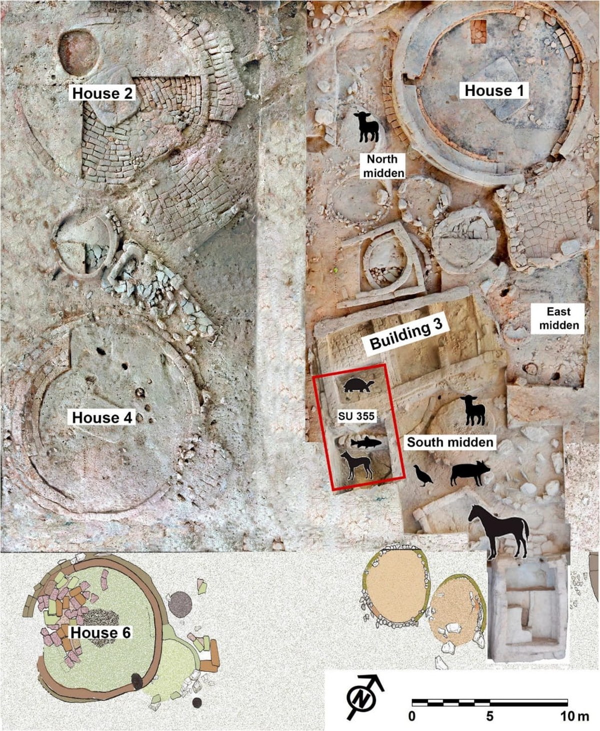 İspanya'daki Demir Çağı evi eski sığırları ve geyikleri yedi, at ve kaplumbağa eti ise özel şölenlerde yer aldı