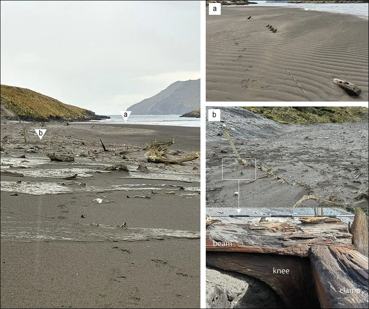 Did a penguin-hunting crew survive here? New evidence of shipwreck remains and a possible castaway camp on an island off Patagonia