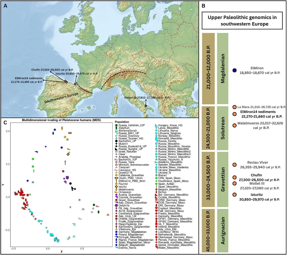 Ancient DNA shows Ice Age Europeans stayed connected across long distances