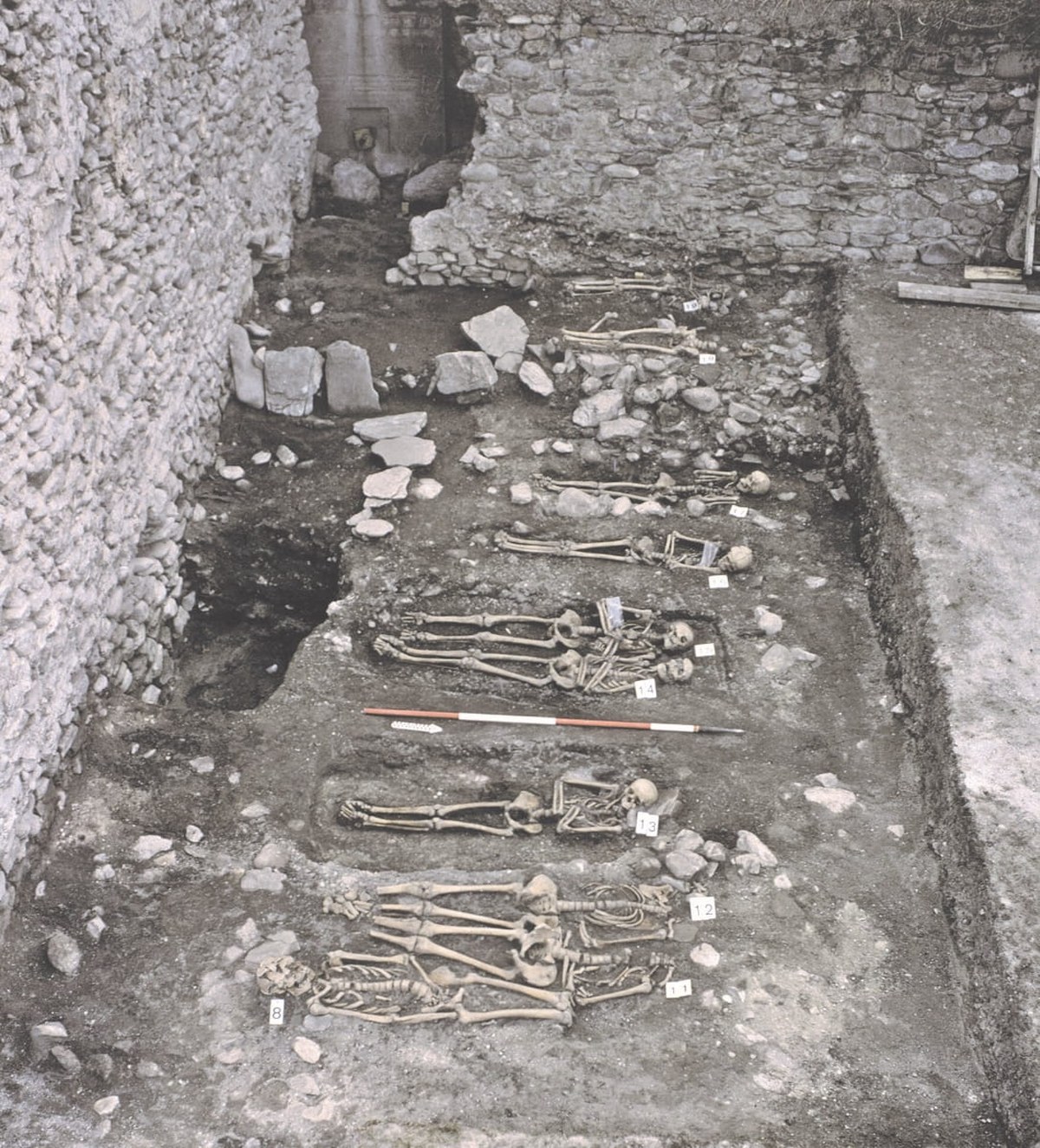 Plague after the Black Death returned in waves across Europe for centuries, ancient DNA shows