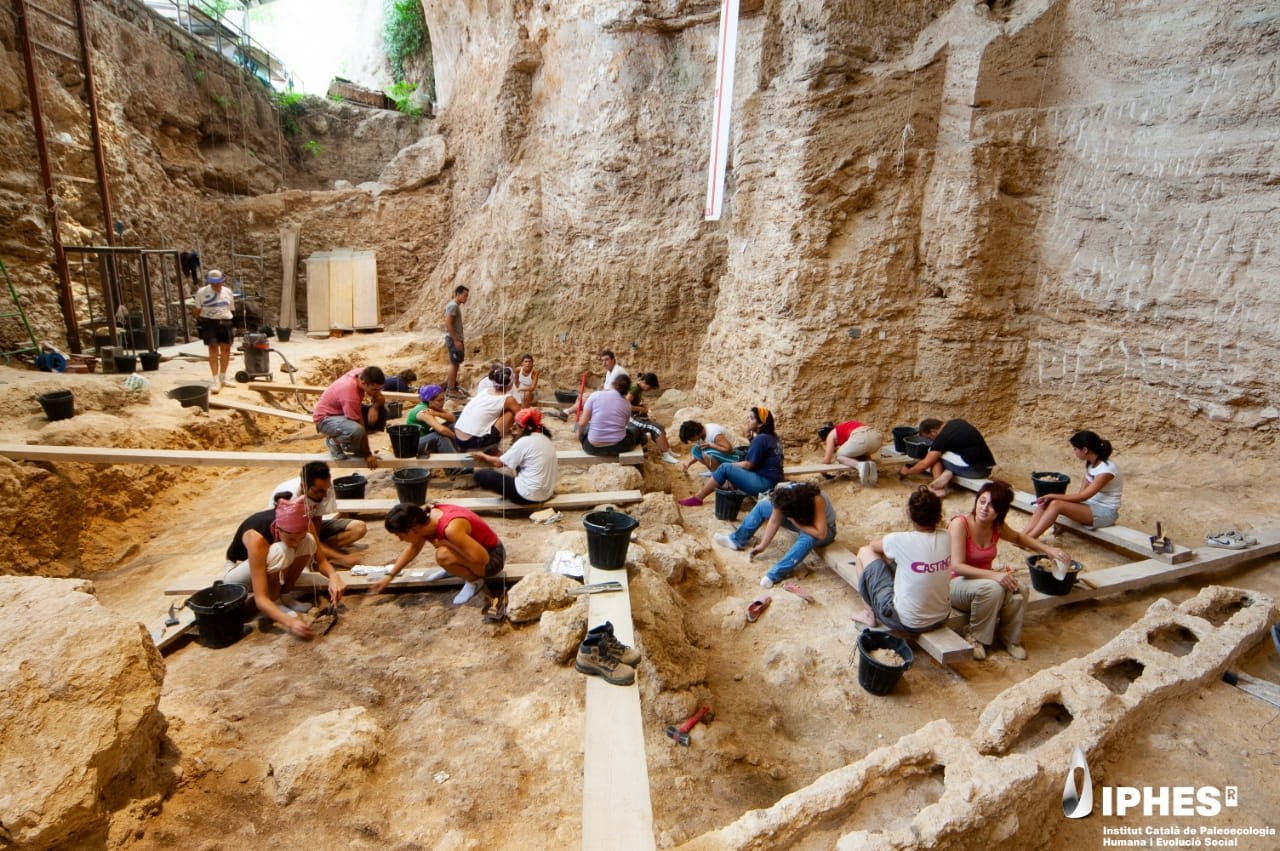Neandertallerin ahşap işçiliği biz düşündüğümüzden çok daha gelişmişti, yeni araştırma gösteriyor