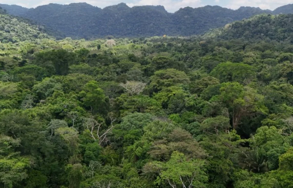 LiDAR Reveals How The Ancient Maya Civilisation Shaped Today's 'Pristine' Rainforests LiDAR Reveals How The Ancient Maya Civilisation Shaped Today's 'Pristine' Rainforests