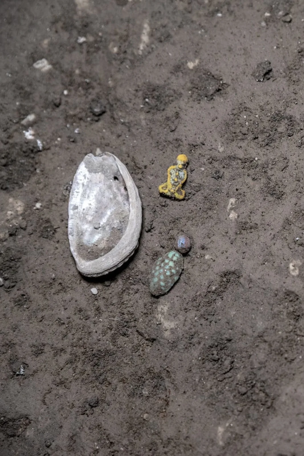 Pompeii wardrobe found untouched since 79 CE holds a woman's keepsakes, coins, and two mice