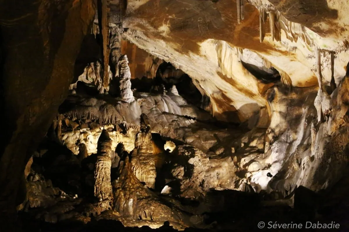 Ancient DNA shows Ice Age Europeans stayed connected across long distances