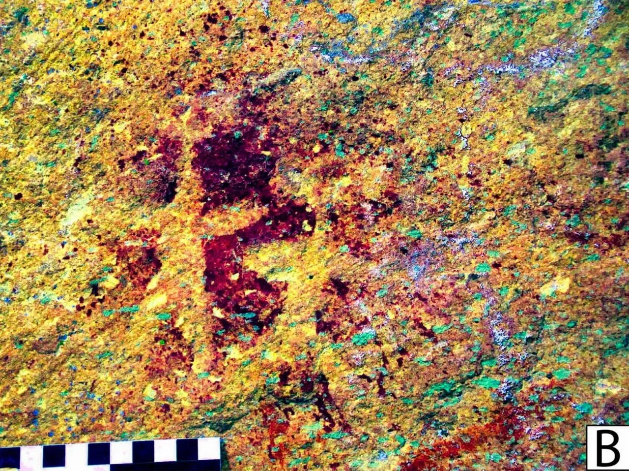 First stencilled rock art in southern Africa found in a Mpumalanga shelter