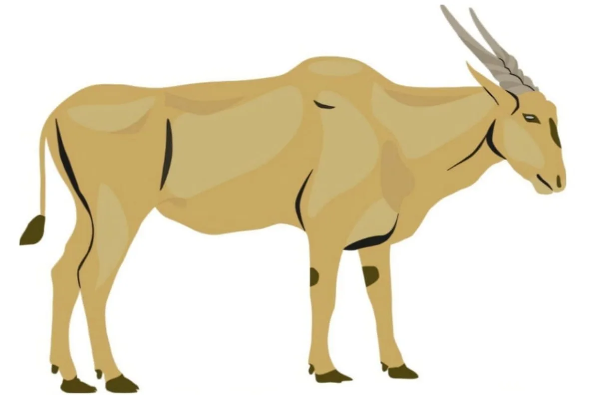 Eland protein found in 60,000-year-old ochre layer offers clues to early human practices in South Africa