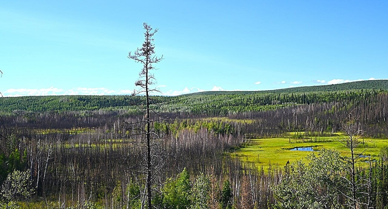 13.800 yıllık Alaska kampı, Buz Çağı avcılarının Bering kara köprüsünün yakınında nasıl olduğunu ortaya koyuyor