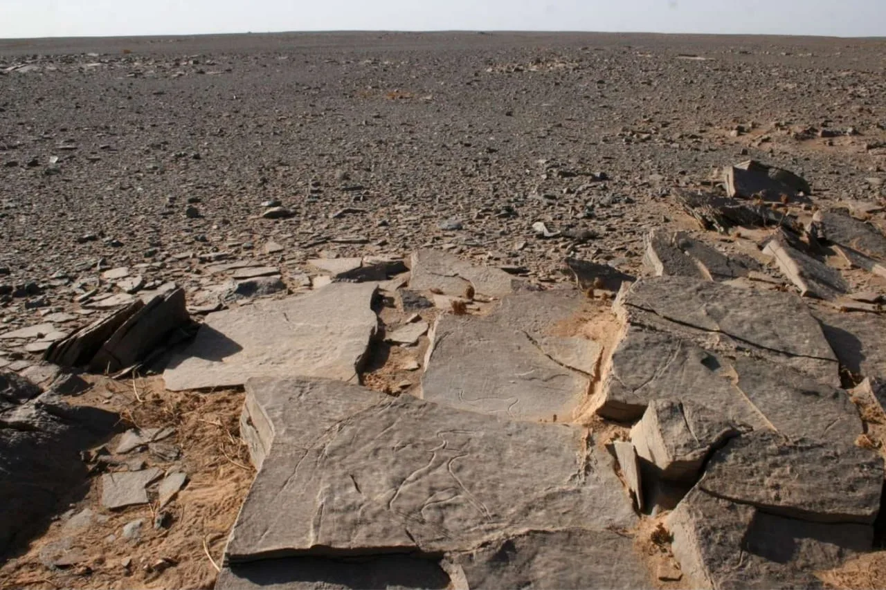 Stone tomb with two long "antennae" in Western Sahara gets its first firm date, around 4,400 years ago