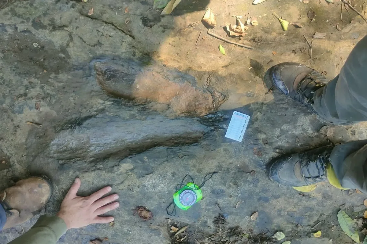 Meksika'da 65 Milyon Yıl Önceye Tarihlenen 50 Dinozor İzini Bulundu