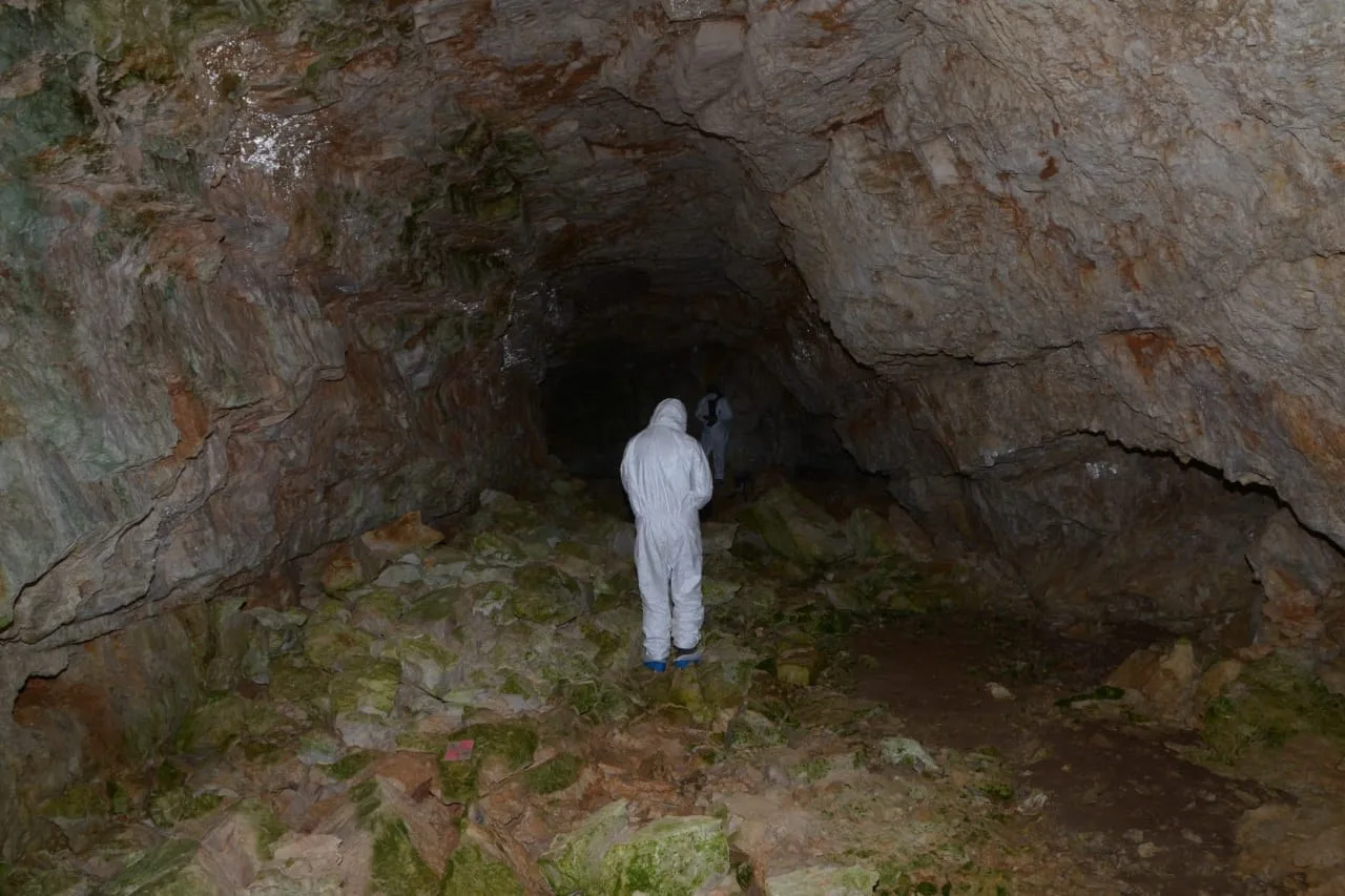 Prehistoric cave bear remains in Italy's Dolomites are now sealed off for research