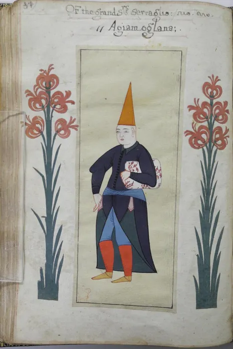 Folio 37v. Album leaf painted in opaque watercolour — 1618 Dönemi Türk Sanat Mirası